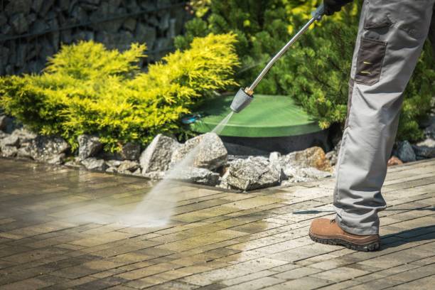 Best Roof Washing  in Puyallup, WA