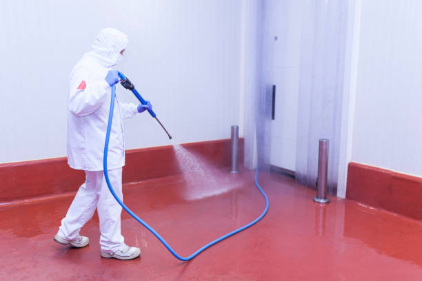 Best Parking Lot and Garage Cleaning  in Puyallup, WA